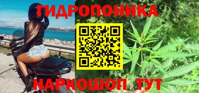 ECSTASY Будённовск