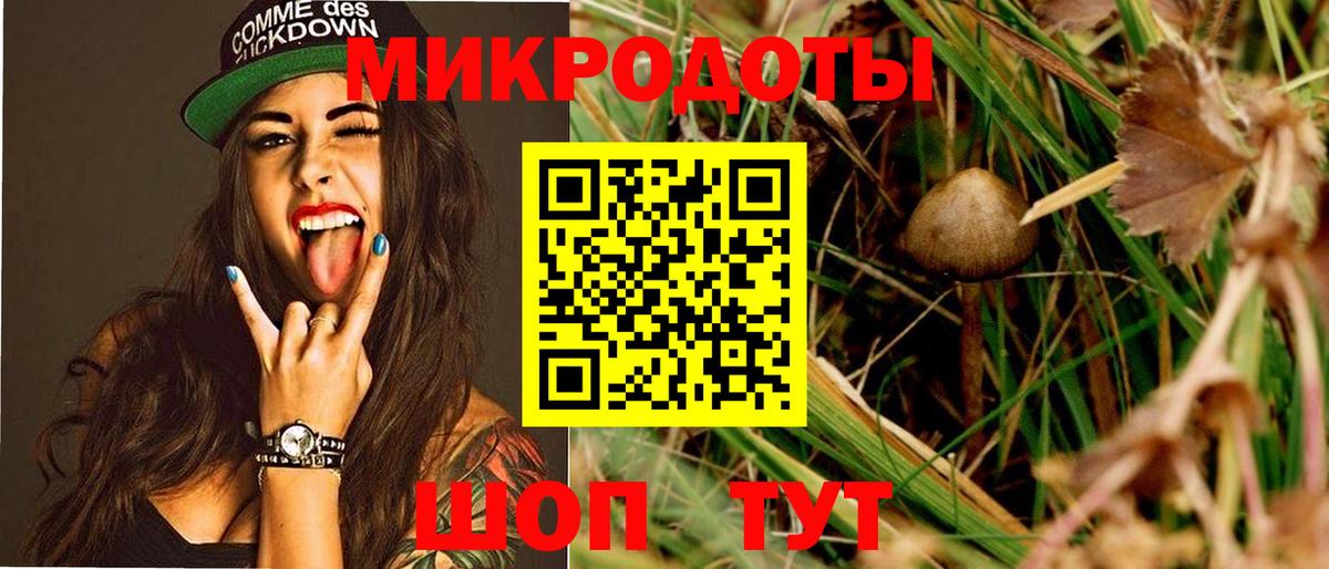 Геленджик  Галлюциногенные грибы прущие грибы  Псилоцибиновые грибы ЛСД  Вход с VPN 